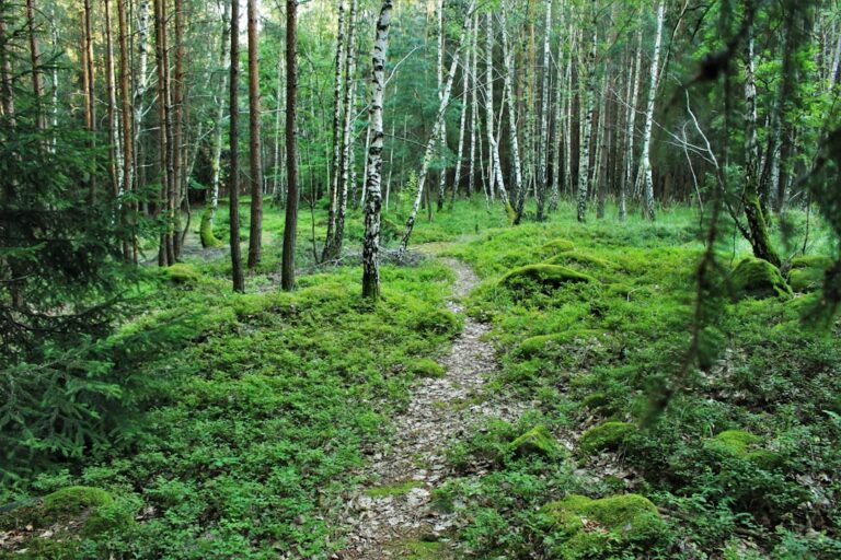 Poradnik dla aktywnych turystów: jak bezpiecznie spędzić czas wolny nad morzem