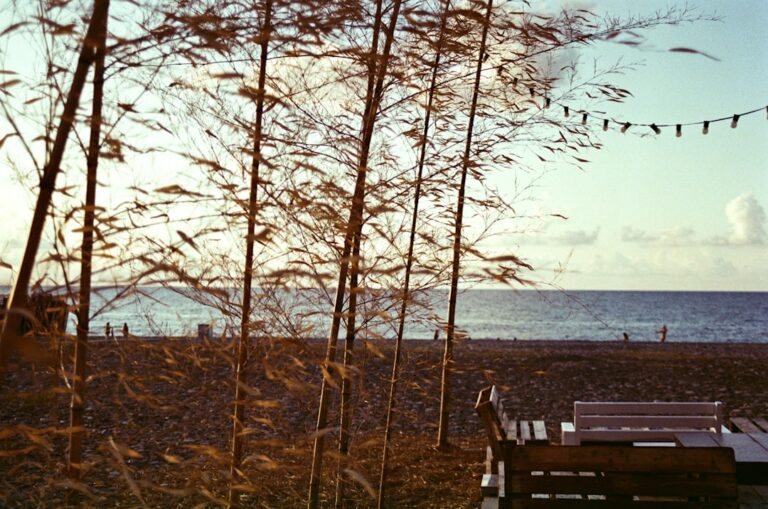 Od uzdrowiska po popularny kurort: historia Sopotu