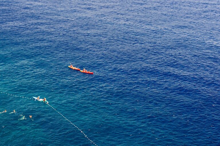 Cud natury na polskim wybrzeżu: wydmy ruchome nad morzem